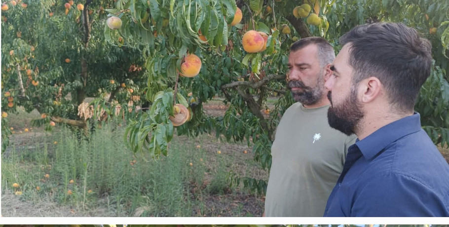 Δήμος Κυριλίδης:Παρέμβαση για τους παραμορφωμένους καρπούς στα ροδάκινα και τη στήριξη των παραγωγών της Πέλλας.