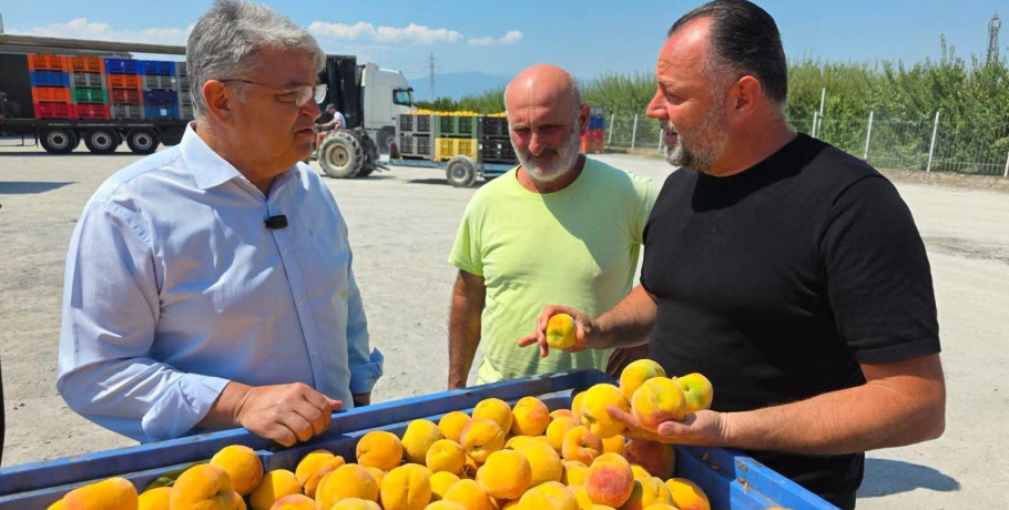 Στην Πέλλα ο πρόεδρος της ΝΙΚΗ Δημήτρης Νατσιός