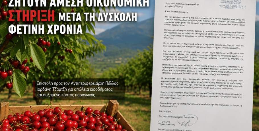 Κερασοπαραγωγοί Βεγορίτιδας και Αλμωπίας ζητούν άμεση οικονομική στήριξη μετά τη δύσκολη φετινή χρονιά