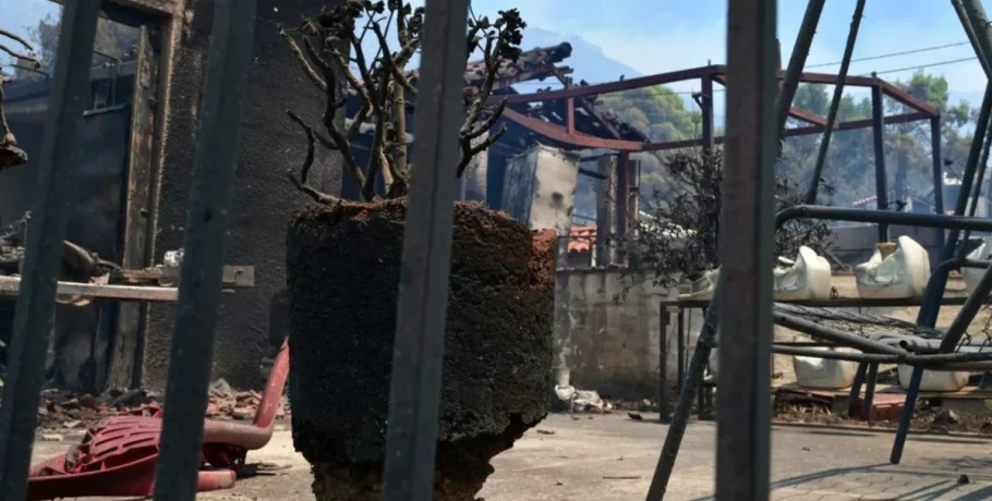 Έκτακτα μέτρα για πυρόπληκτους – Επιδότηση ενοικίου και 100% αποζημίωση για σπίτια που επλήγησαν