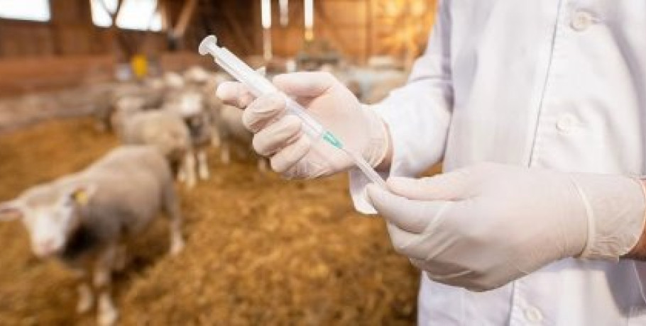 Οδηγίες προς Περιφέρειες για τα στοιχεία αποζημίωσης κτηνοτρόφων λόγω ευλογιάς, πανώλης και αφθώδη πυρετού