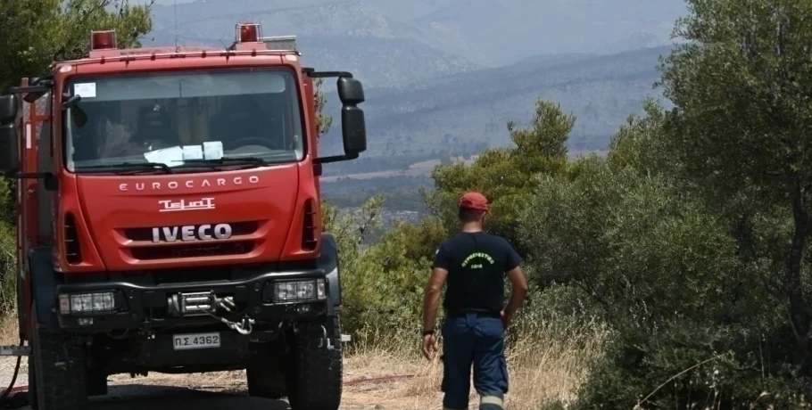 Συναγερμός στις Σέρρες: Φωτιά τώρα στην περιοχή Νέα Πέτρα
