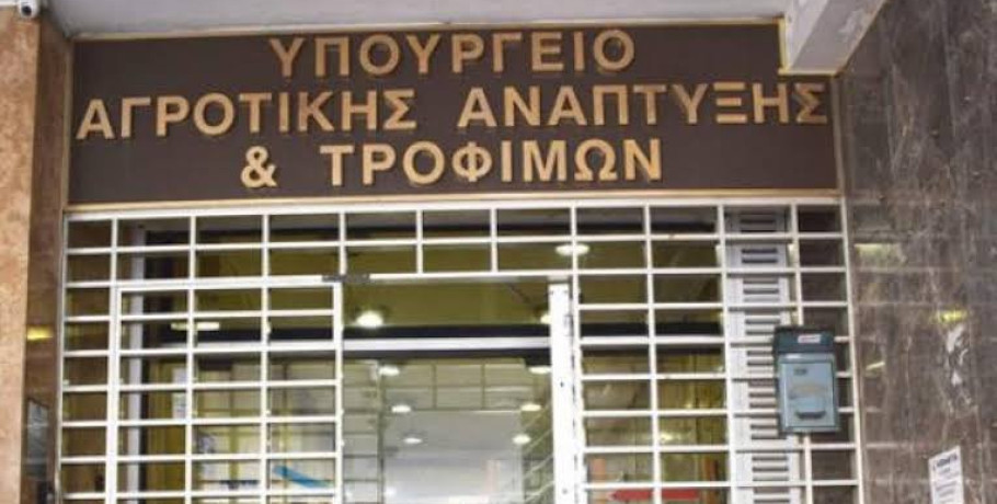 Παράταση εφαρμογής της υποχρεωτικής δήλωσης συγκομιδής ελαιοκάρπου
