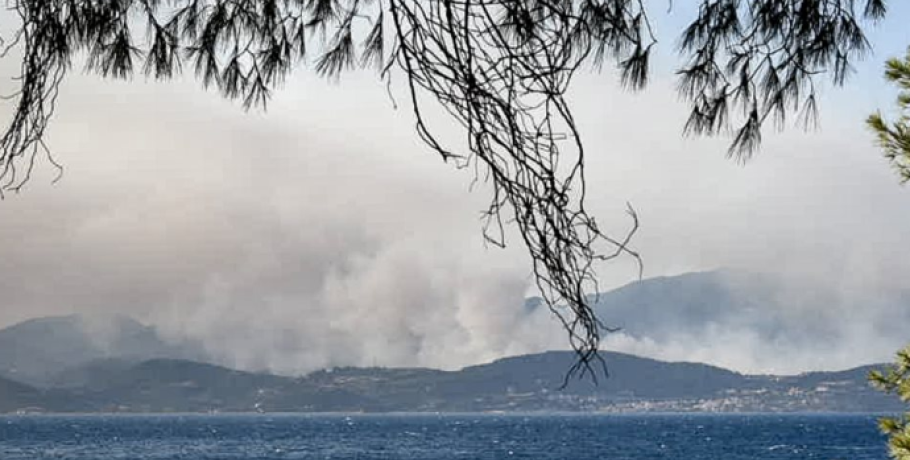 Πυρκαγιά στην Φωκίδα: Ξεκίνησαν οι αυτοψίες στις πληγείσες περιοχές
