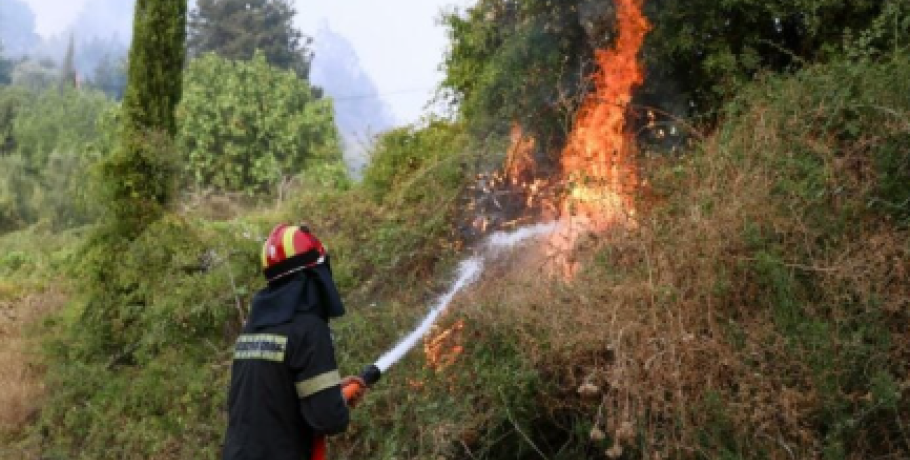 Χαλκιδική: Φωτιά τώρα στα Σήμαντρα Πολυγύρου