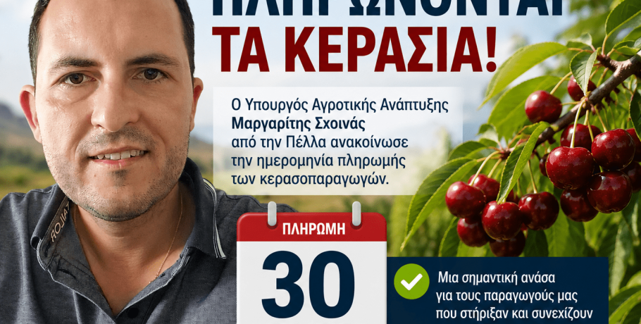Πληρώνονται τα κεράσια στις 30 Σεπτεμβρίου – Η ανακοίνωση του Μαργαρίτη Σχοινά από την Πέλλα
