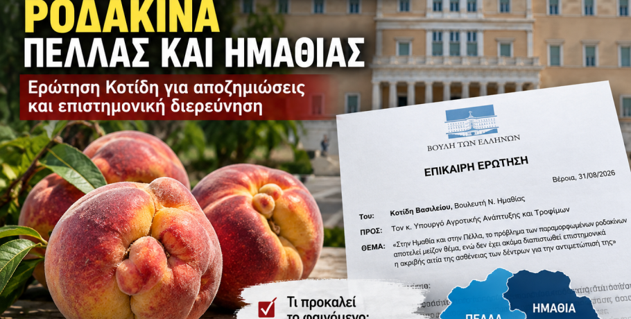 Στη Βουλή τα παραμορφωμένα ροδάκινα σε Πέλλα και Ημαθία – Ερώτηση Κοτίδη για αποζημιώσεις και επιστημονική διερεύνηση