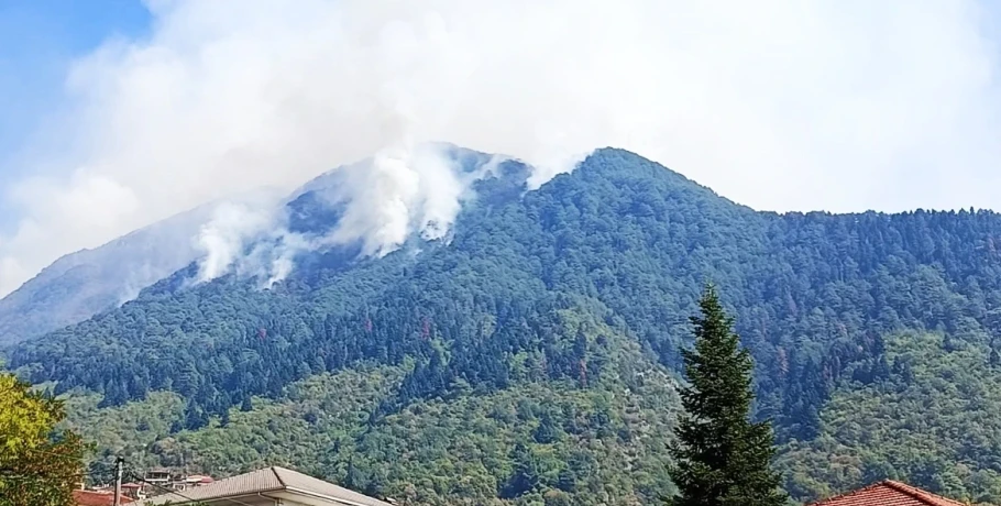 Όγδοη ημέρα μάχης με τη μεγάλη φωτιά στην Κόνιτσα, καίει πυκνό δάσος, σηκώθηκαν τα εναέρια μέσα
