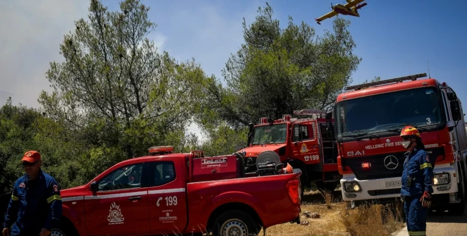 Φωτιά τώρα σε δασική έκταση στο Ελαιοχώρι Καβάλας, εστάλη 112 για ενημέρωση
