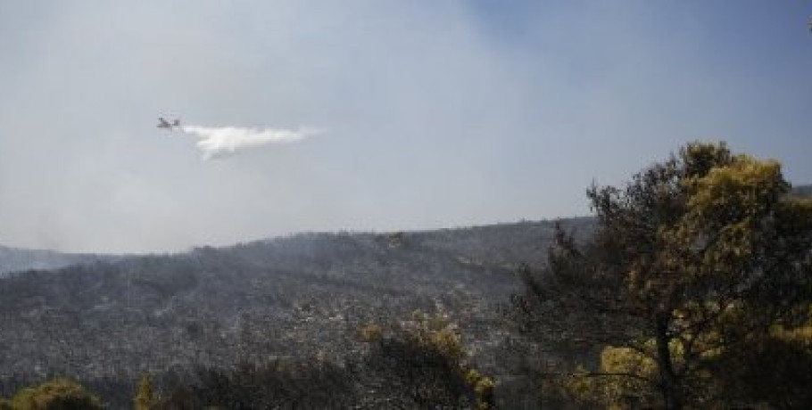 Προκαταβολές ΕΛΓΑ 5 εκατομ. ευρώ για αποκατάσταση καλλιεργειών από πυρκαγιές του 2024