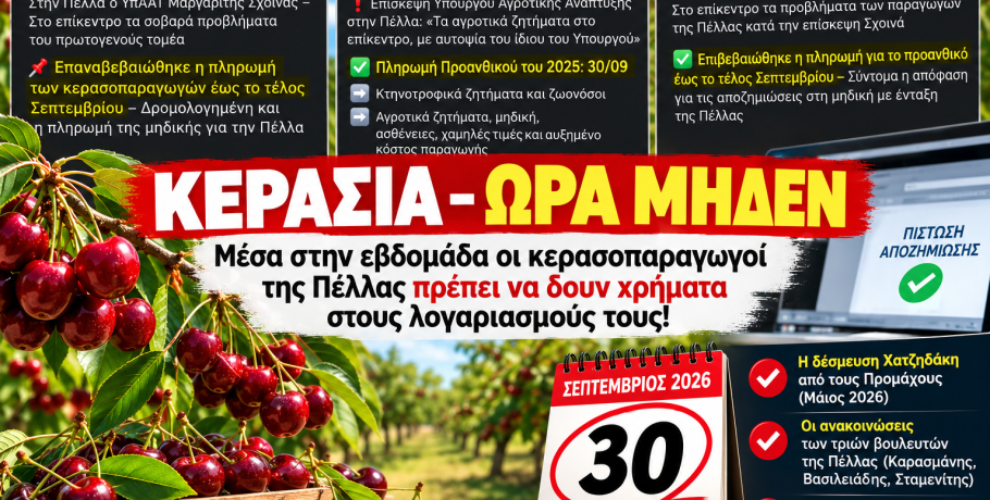 Κεράσια ωρα μηδέν: Μέσα στην εβδομάδα οι κερασοπαραγωγοί της Πέλλας περιμένουν χρήματα στους λογαριασμούς τους!