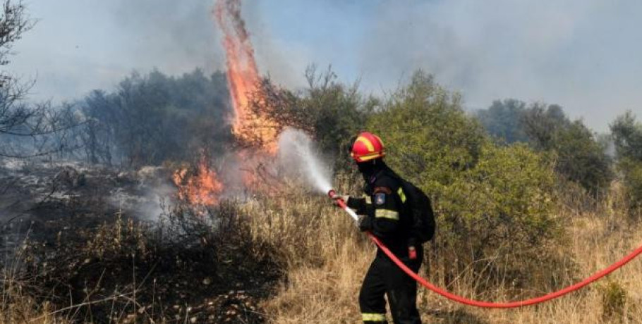 Έβρος: Πυρκαγιά σε δασική έκταση της Ρούσας Σουφλίου - Πέρασε σε ελληνικό έδαφος από τη Βουλγαρία