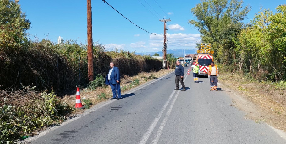 Εργασίες συντήρησης και καθαρισμοί, παραπλεύρως του οδικού δικτύου αρμοδιότητας Περιφερειακής Ενότητας Πέλλας