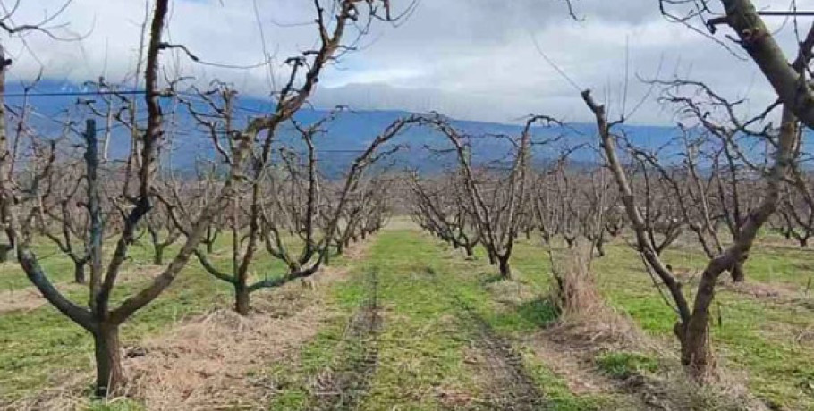 Η Περιφερειακή Ενότητα Πέλλας ενημερώνει αγρότες και ενδιαφερόμενους καλλιεργητές και γεωπόνους