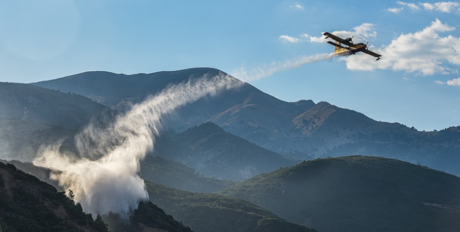 Πέλλα: Πυρκαγιά σε δυσπρόσιτη δασική έκταση – Επιχειρούν 3 ελικόπτερα