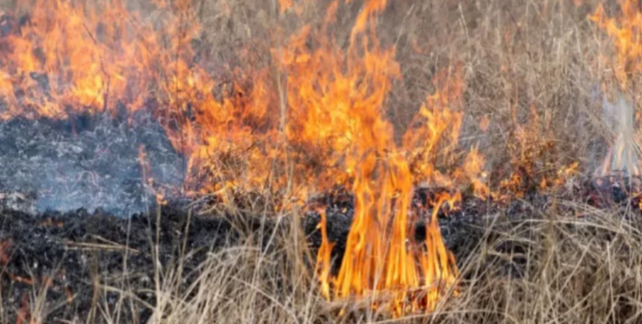 Αρχαία Πέλλα: Φωτιά σε ξερά χόρτα/"Άρπαξε" και μία πλατφόρμα