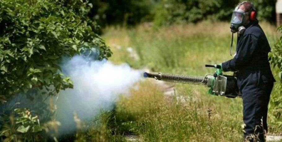 Πρόγραμμα δράσεων 24ης εβδομάδας στον Δήμο Αλμωπίας για τα κουνούπια