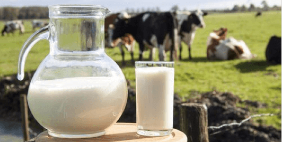 Αγελαδοτρόφοι: Μόνο το 35% του γάλακτος των σούπερ μάρκετ παράγεται στην Ελλάδα
