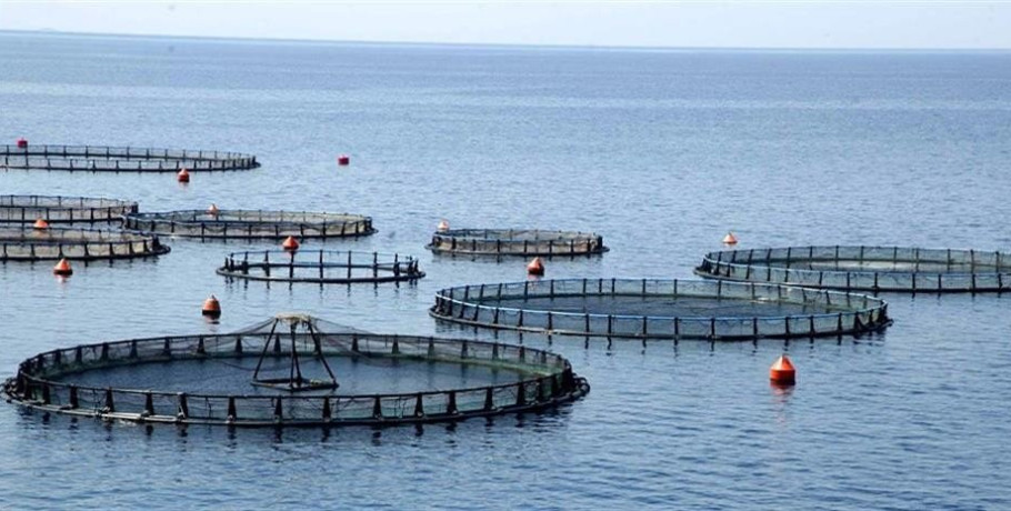 Ενεργειακή μετάβαση στην αλιεία της ΕΕ: Προκλήσεις, χρηματοδότηση και ανάγκη συντονισμένων παρεμβάσεων