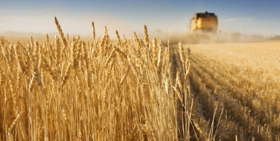 Παρά το πλήγμα στην Οδησσό, η Ουκρανία προετοιμάζεται για την εξαγωγών σιτηρών