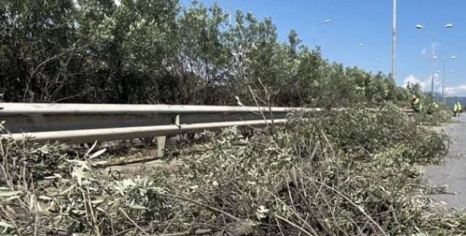 Εργασίες κοπής δένδρων στην Εθνική Οδό Θεσσαλονίκης-Έδεσσας