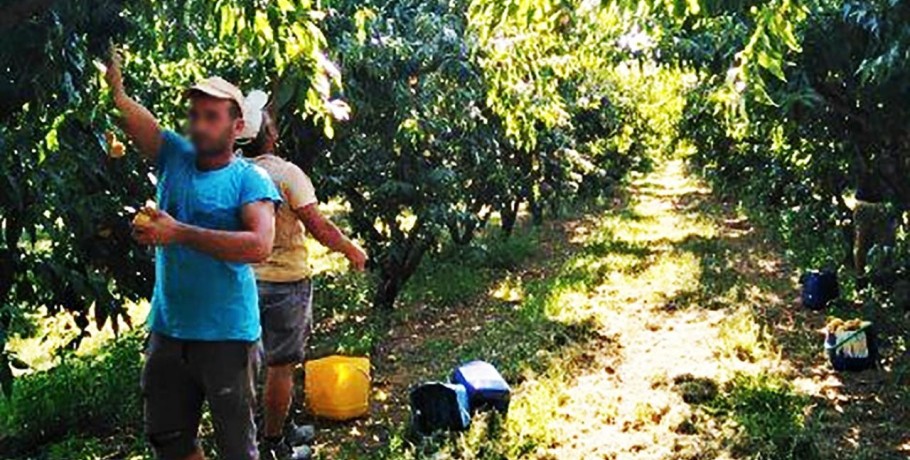 Μαζική φυγή εργατών γης από την Ελλάδα