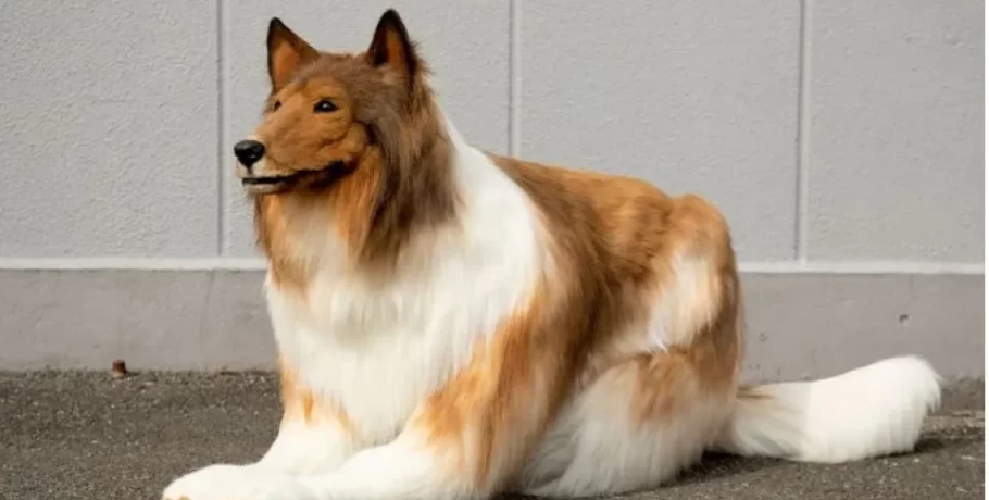 Ιάπωνας ξόδεψε 14.000 ευρώ σε ρεαλιστική στολή σκύλου