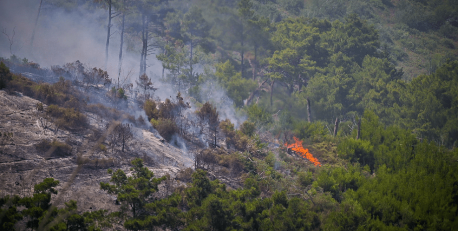 Έκκληση του Αντιπεριφερειάρχη Δάνη Τζαμτζή για πρόληψη και αποφυγή πρόκλησης δασικών πυρκαγιών στην ΠΕ Πέλλας