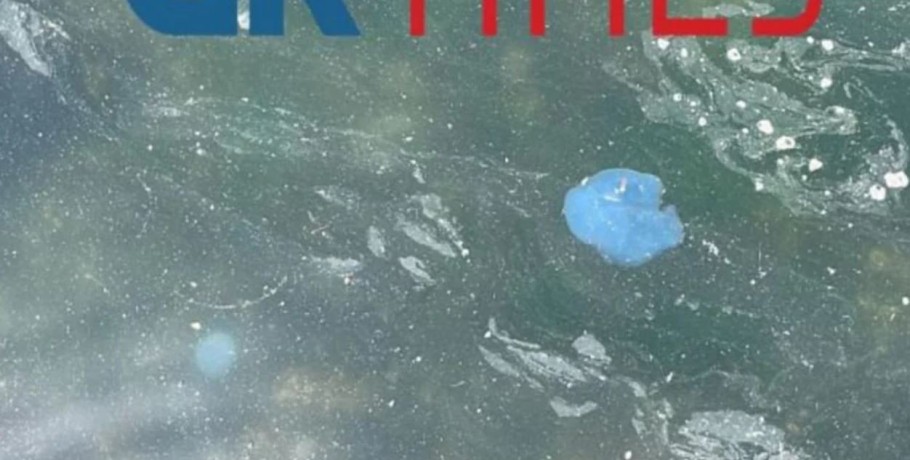 Οι γαλάζιες μέδουσες έφτασαν στη Θεσσαλονίκη: Κολυμπούν στα ρηχά του Θερμαϊκού