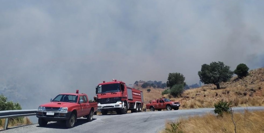 Αντιπεριφερειάρχης Πέλλας Δάνης Τζαμτζής: «Έγκαιρος προγραμματισμός και πρόληψη, στη μάχη για την πολιτική προστασία ενόψει της θερινής περιόδου»