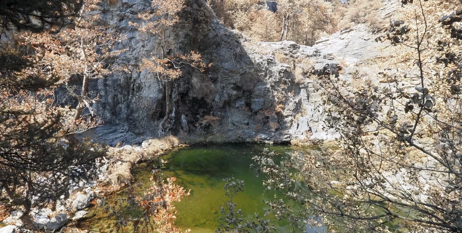 Η Βόρεια Εύβοια θα ξαναγίνει πράσινη