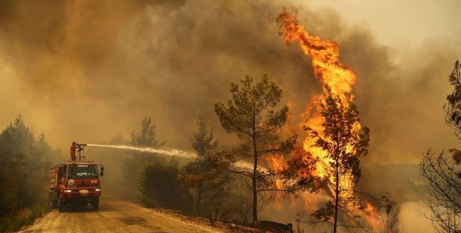 Χρ. Ζερεφός: «Απαιτείται πανευρωπαϊκή λύση για την αντιμετώπιση των πυρκαγιών»