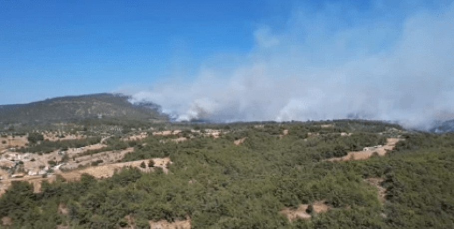 Πυρκαγιά στο Περιγιάλι Λαυρίου