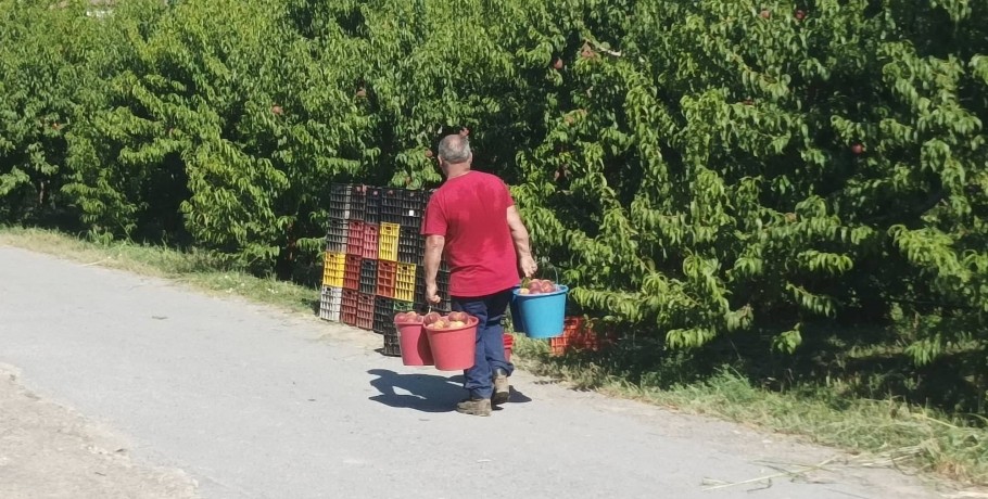 Καρασμάνης: Δίνεται λύση στη μετάκληση για απασχόληση πολιτών τρίτων χωρών στην αγροτική οικονομία