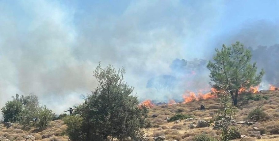 Φωτιά στον Πετσοφά – Δίπλα στο μεγάλο δάσος