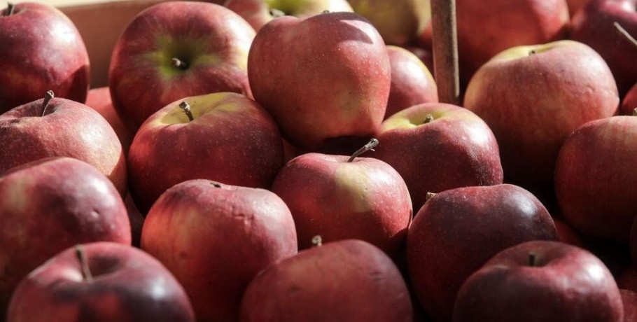 Γ. Ασφαλτίδης για τα μήλα: «Σήμερα έρχονται οι έμποροι, δίνουν αυτές τις τιμές και ζητάνε από πάνω και κρατική επιδότηση στο ρεύμα"