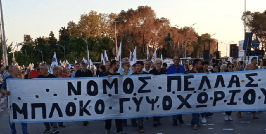Ροδάκινο: Κάλεσμα στους αγρότες για πανελλαδική συνάντηση από την "Ενότητα" Πέλλας