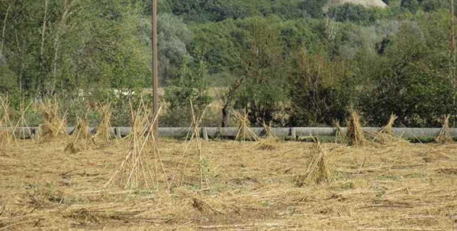 Πρέσπες: Τεράστιες ζημιές από την χαλαζόπτωση - Να κηρυχτεί σε κατάσταση έκτακτης ανάγκης η περιοχή ζήτησε ο Δήμος