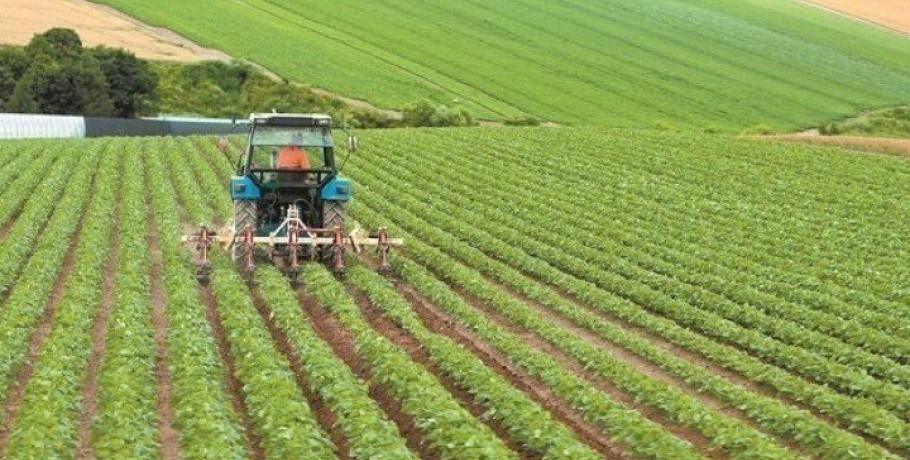 Αγροδιατροφή: Από σήμερα οι αιτήσεις υπαγωγής στο καθεστώς του νέου Αναπτυξιακού Νόμου