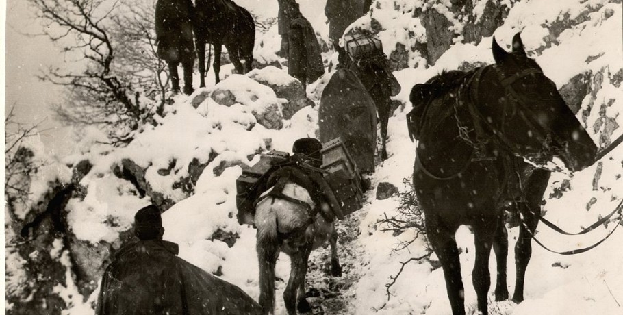 28η Οκτωβρίου:  Οι αφανείς ήρωες του 1940 – Μουλάρια και άλογα από την Κρήτη στον πόλεμο