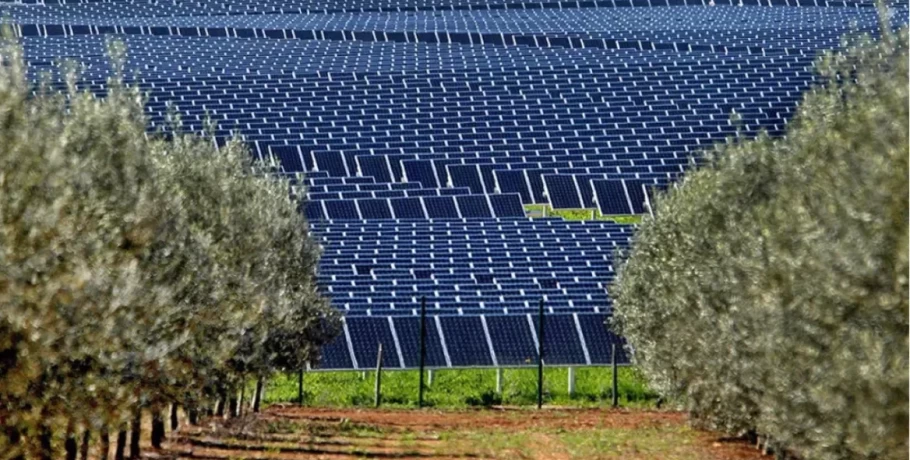 Σημαντική νίκη των τοπικών κοινωνιών και της αυτοδιοίκησης η ακύρωση δύο φωτοβολταϊκών πάρκων στο Μενοίκιο Όρος!