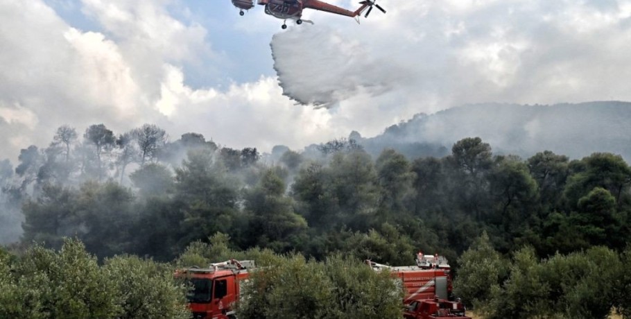 Φωτιά τώρα στο δάσος της Κέρης - Μεγάλη επιχείρηση της Πυροσβεστικής