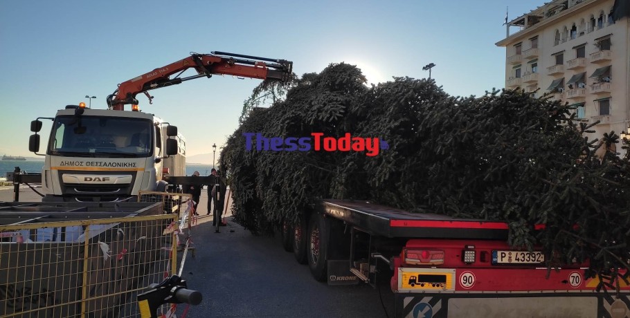 Έφτασε το εντυπωσιακό χριστουγεννιάτικο έλατο ύψους 18 μέτρων στην πλατεία Αριστοτέλους (ΦΩΤΟ-VIDEO)