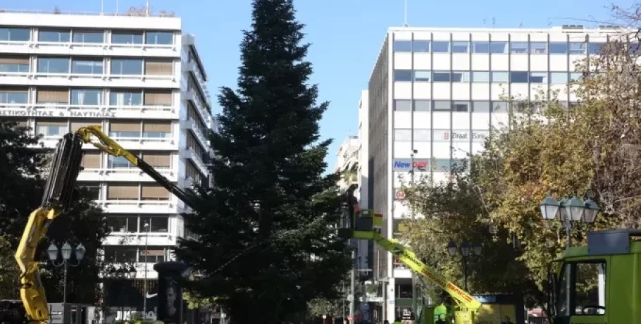 Στις 26 Νοεμβρίου ξεκινά η πώληση των ελάτων-«Βροχή» πέφτουν οι προπαραγγελίες