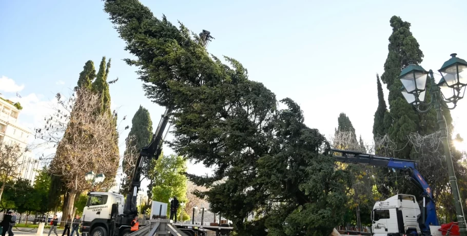 Στήθηκε το χριστουγεννιάτικο δέντρο στην πλατεία Συντάγματος -Έλατο 21 μ. από το Καρπενήσι