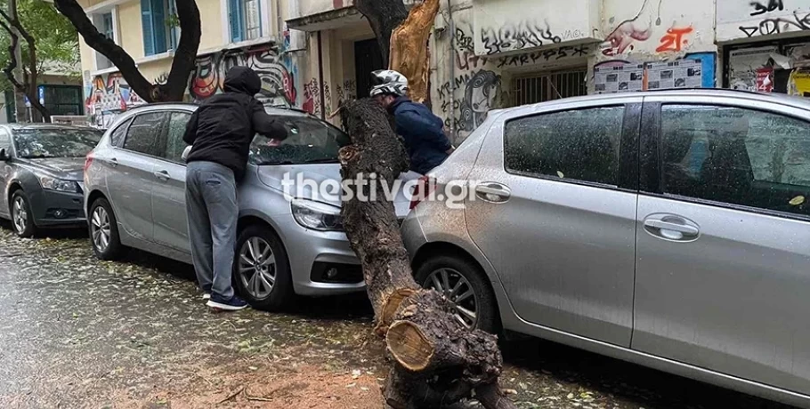 Θεσσαλονίκη: Έπεσαν δέντρα πάνω σε αυτοκίνητα, χωρίς ρεύμα αρκετές περιοχές