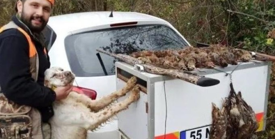 Κυνηγός έχασε τη ζωή του όταν τον πυροβόλησε ο ίδιος του ο σκύλος