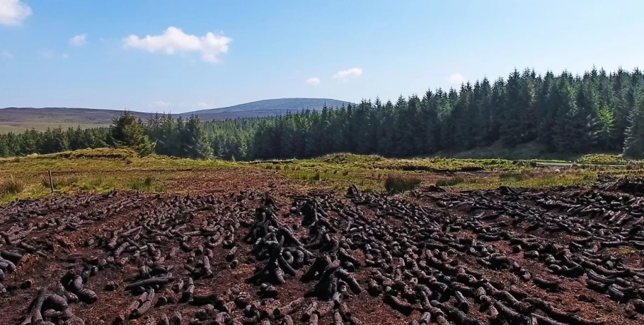 Ενεργειακή κρίση: Αποψιλώνουν δάση και λιβάδια για να ζεσταθούν στη Δυτική Ευρώπη