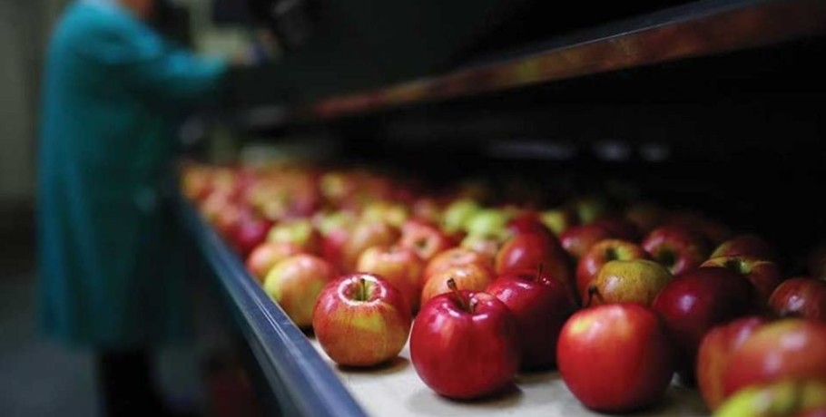 Ταβάνι το 300αρι στα μήλα και όχι για όλους, υπό εξέταση ενισχύσεις σε τομείς που έγραψαν οικονομική ζημιά