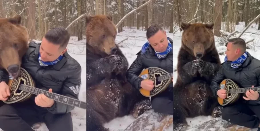 Ρωσία: Λαρισαίος παίζει μπουζούκι με μια αρκούδα που χαϊδεύεται πάνω του